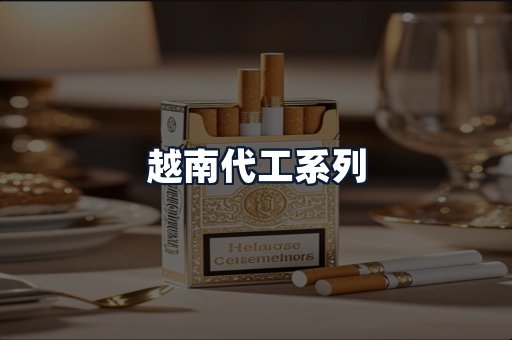 越南代工系列